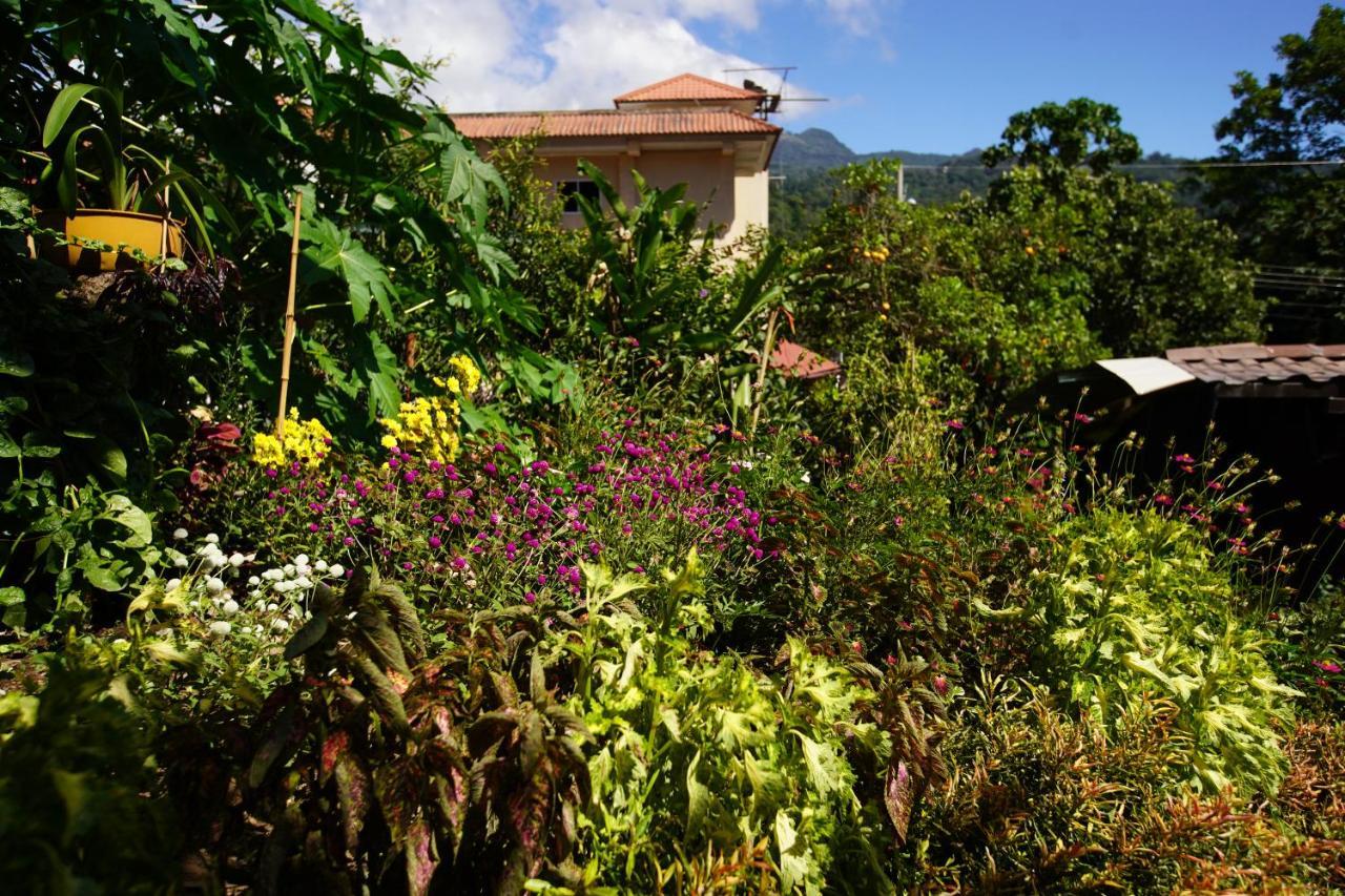 Agaseke Lodge Bajo Boquete Exterior foto