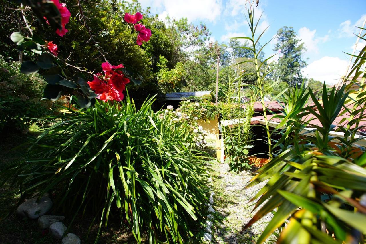 Agaseke Lodge Bajo Boquete Exterior foto